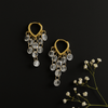 Crystal Cascade Hoop Earrings